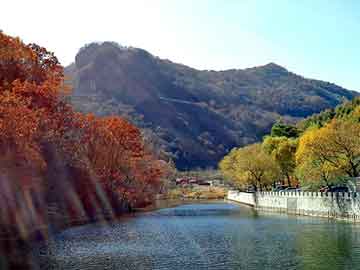 新澳门免费精准大全，茅山鬼道